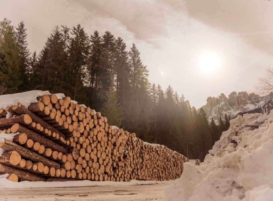 Federlegnoarredo: first quarter exports stable at 4.7 billion euros