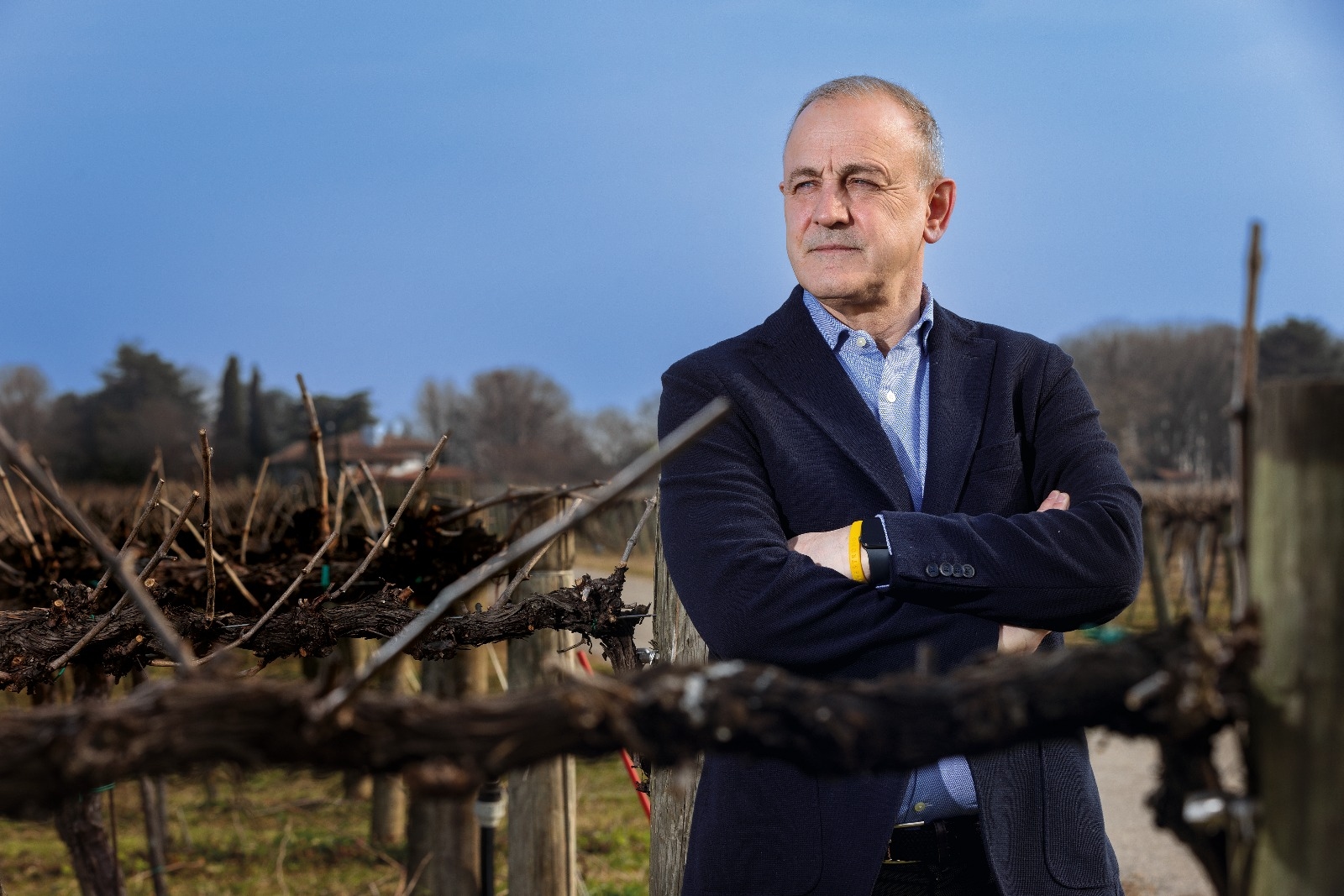 Le conseil d'administration du Consorzio Doc Friuli Venezia Giulia a été renouvelé