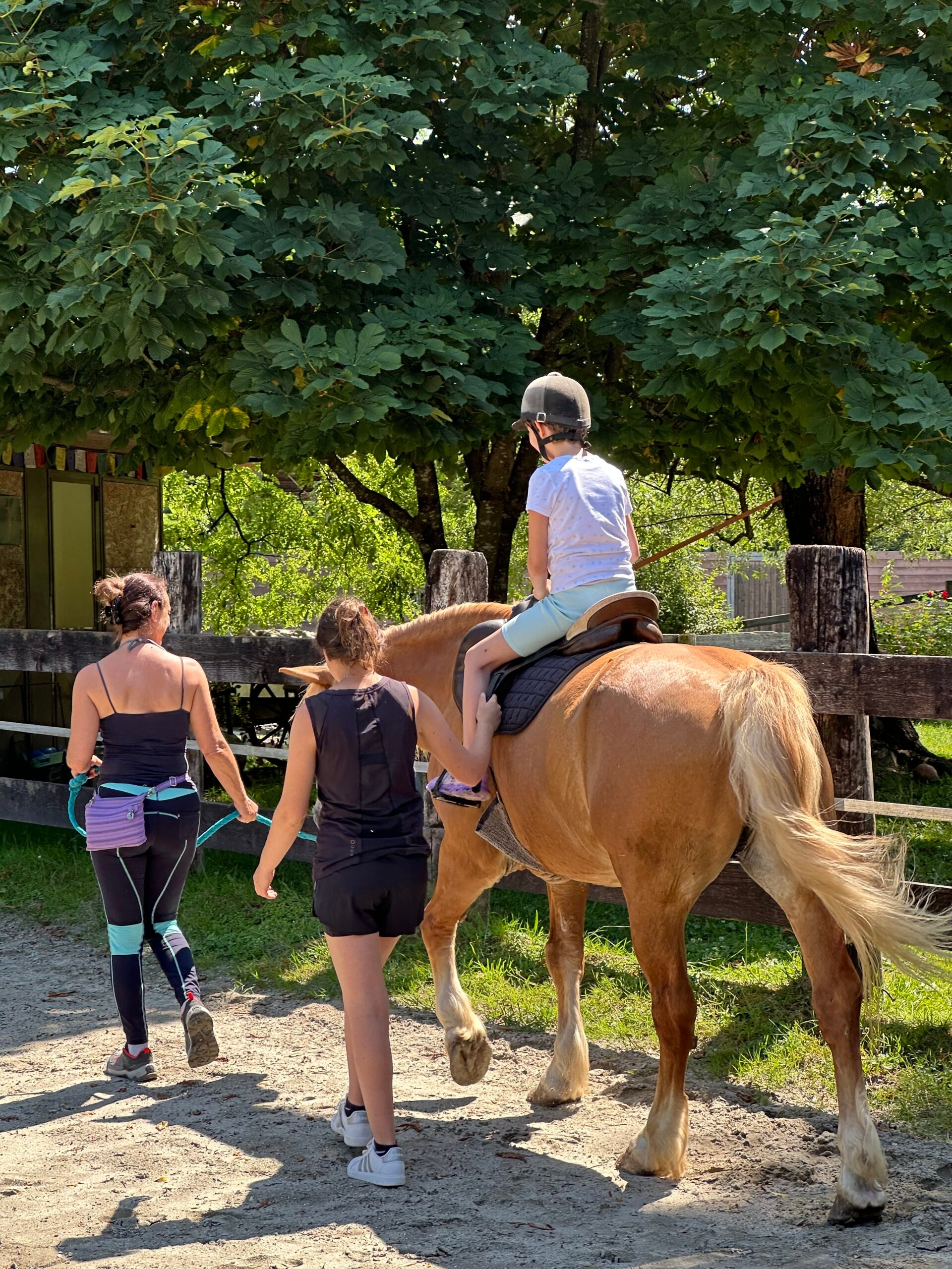 Over forty workshops and visits to social farms in Alto Friuli are underway