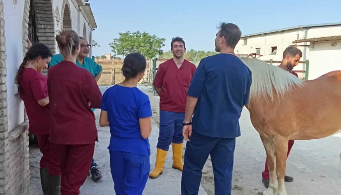 Entre los caballos de Emaús, los estudiantes de Veterinaria experimentan la medicina equina y el valor del encuentro.