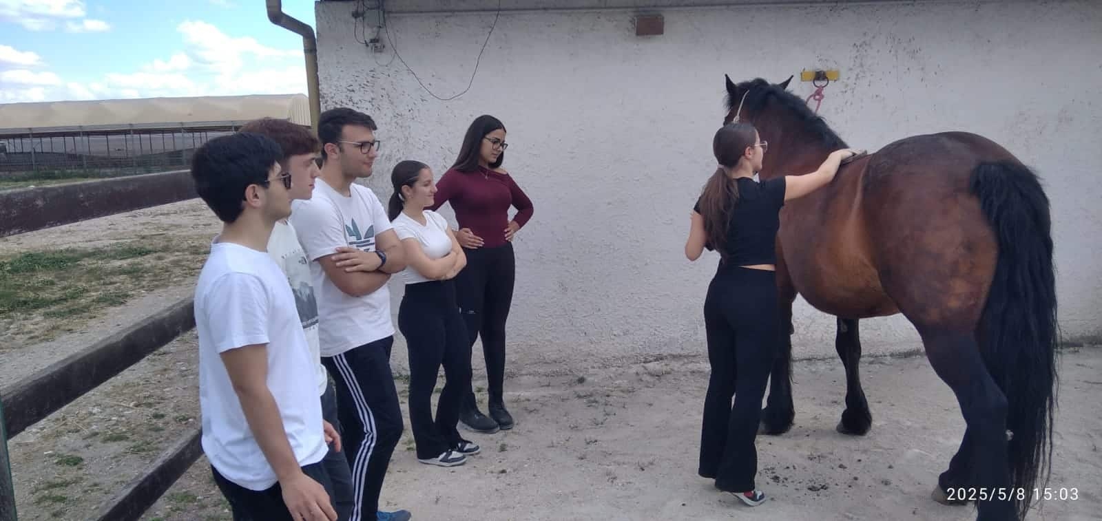 Faire de l'équitation à la coopérative Emmaüs pour surmonter angoisses, insécurités et peurs. Les cours d'équitation du lycée Volta