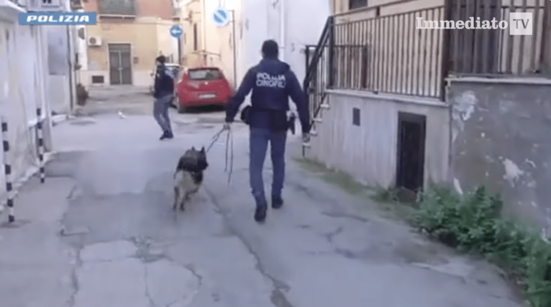 Drugs from Gargano to the Adriatic coast, the “Evil Dwarf” arrested: he was the invisible director of the trafficking