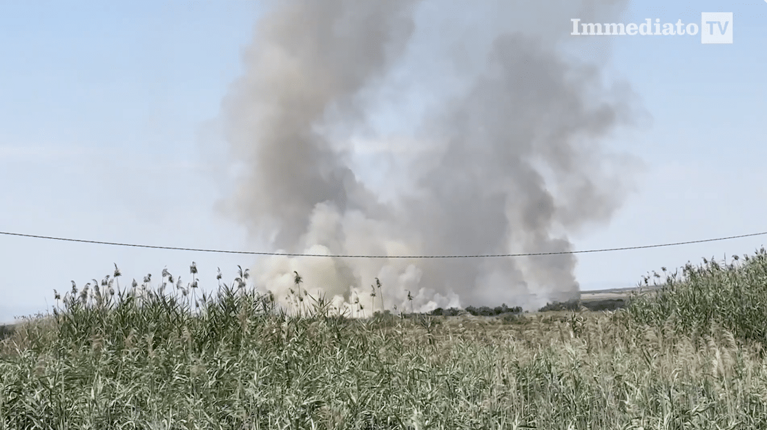 Coldiretti, Puglia'da kundaklama: "Yangınların onda altısı insan kaynaklı."