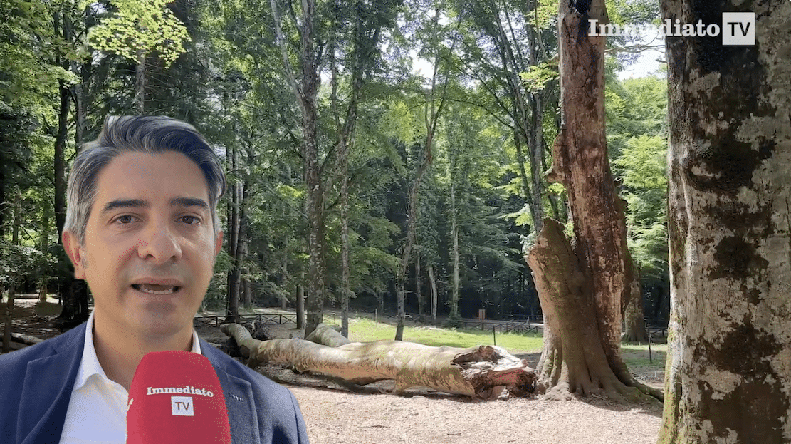 Raffaele Di Mauro asume su cargo en el Parque Nacional del Gargano: «La lucha contra los incendios y el diálogo con los alcaldes están entre nuestras prioridades».