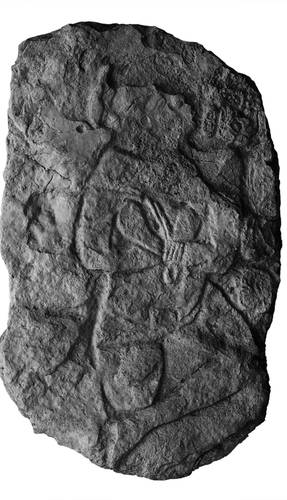 De ontdekking van een gebeeldhouwd paneel in Calakmul zou het idee over de uitbreiding van de vindplaats op losse schroeven zetten.