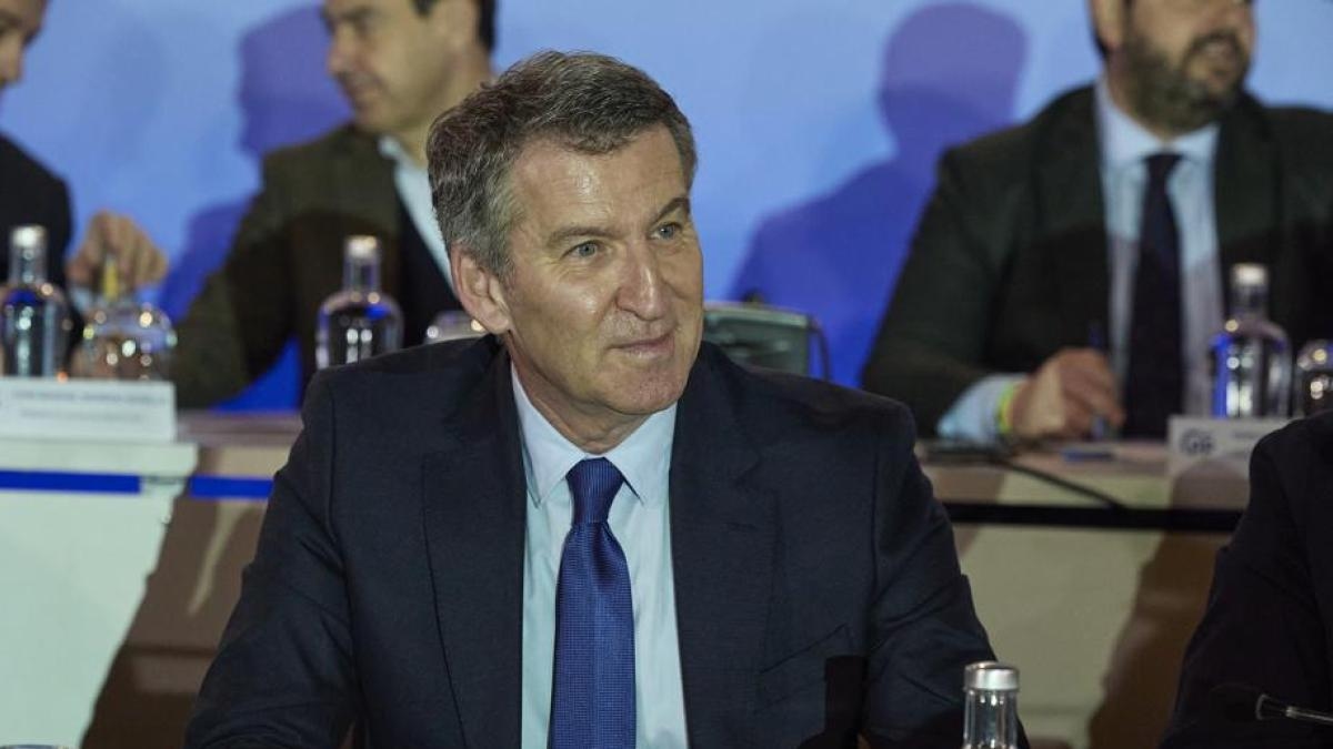 Feijóo, PP kongresini temmuz ayında toplamayı düşünüyor ve bunun artılarını ve eksilerini analiz ediyor.