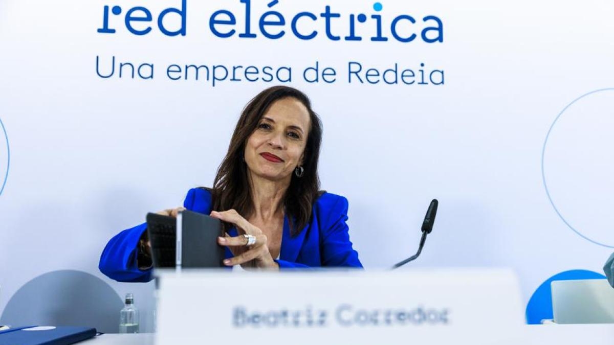 Red Eléctrica macht für den Stromausfall ausschließlich Fehler der Energieversorger verantwortlich.