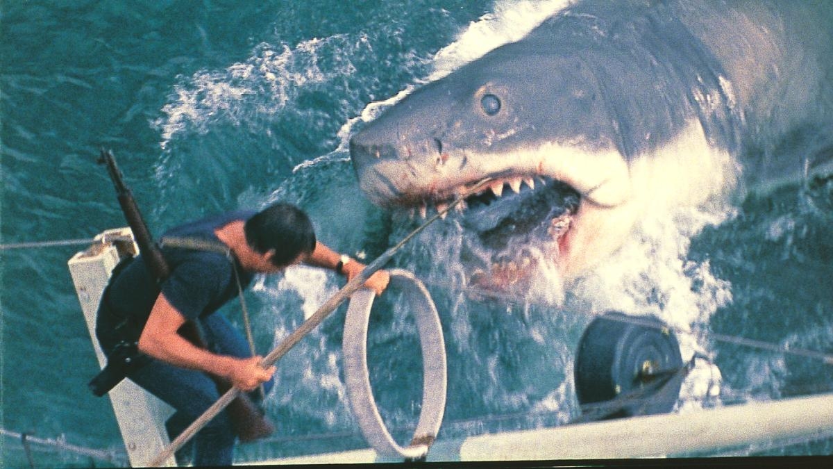 'Jaws': 50 Years of the Bloodiest Beach Swim