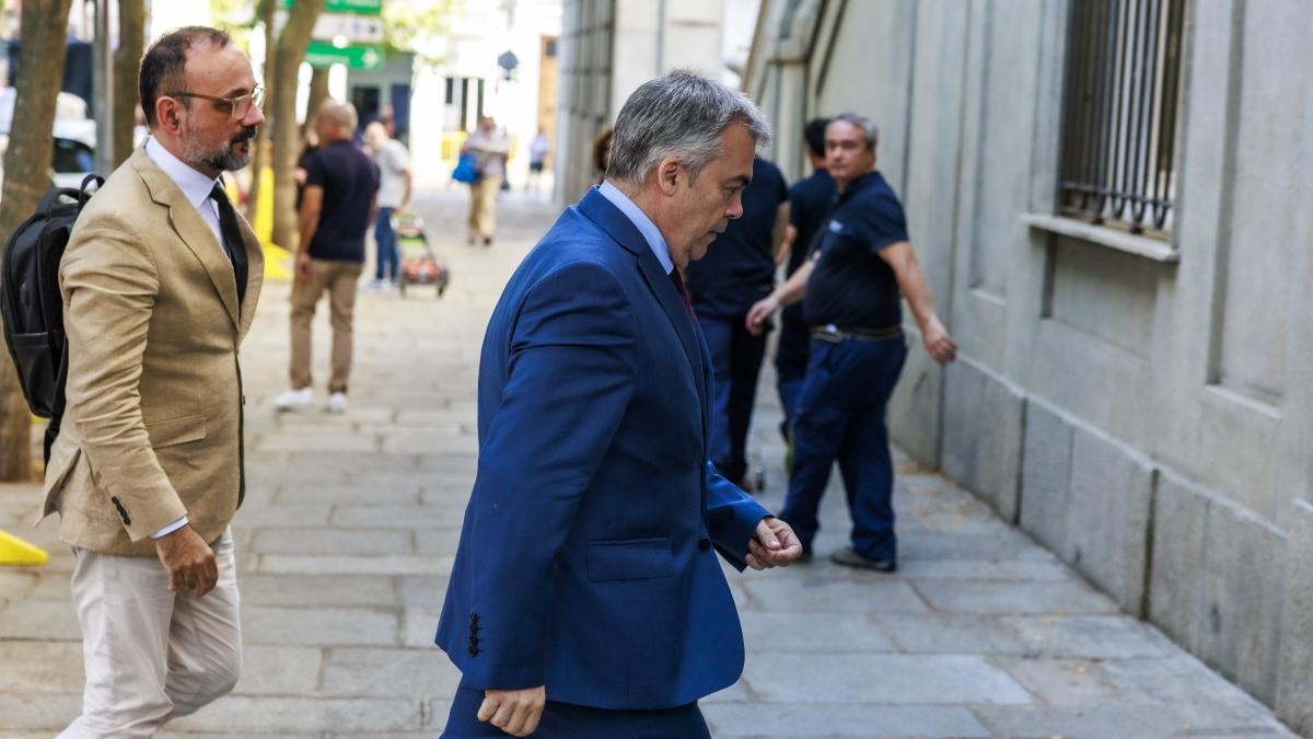 Iene o avvoltoi