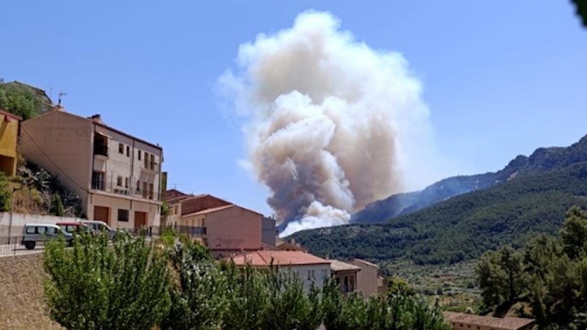 L'incendie du Baix Ebre a brûlé environ 1 600 hectares et Illa demande la collaboration de l'EMU.