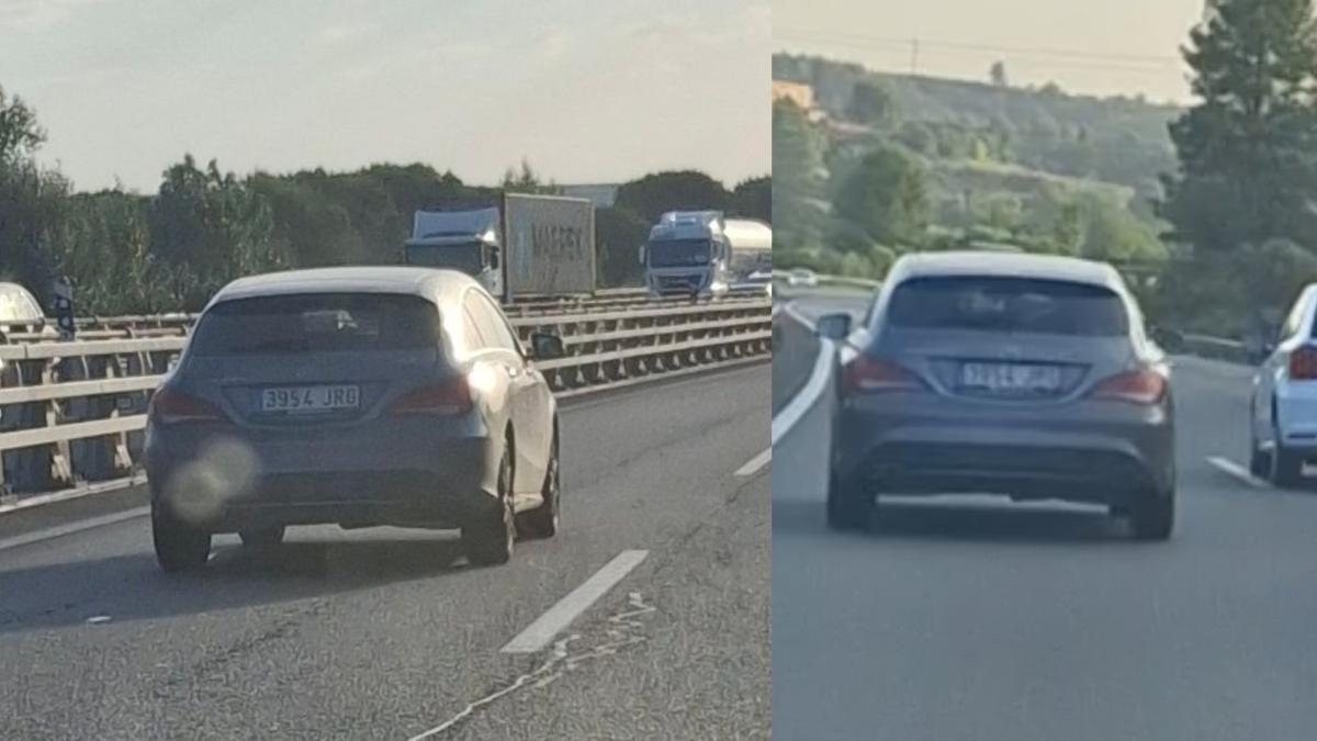 Een bestuurder ziet iets ongewoons op de weg en iedereen raakt in paniek: "Wat is de kans dat we dit in Spanje tegenkomen?"