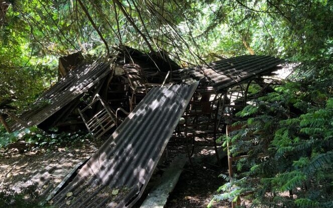 "Un vertedero salvaje": LR Romain Billard advierte de la misteriosa contaminación de una isla en el parque de la Tête d'Or
