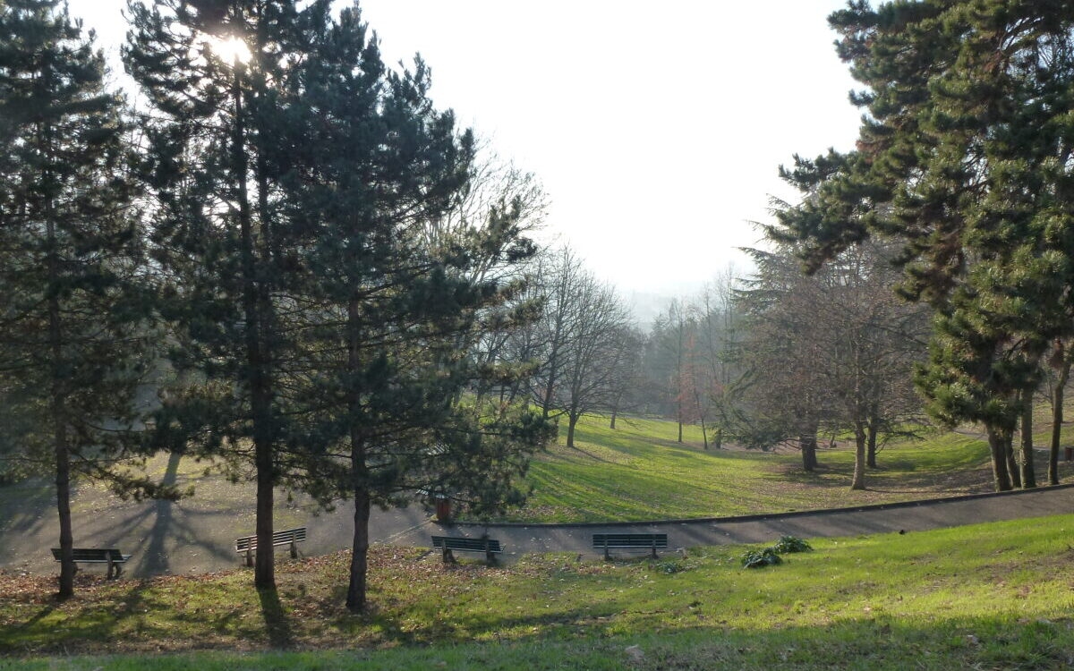 Лион: Женские матчи Евро транслируются на гигантском экране на стадионе Parc de la Cerisaie