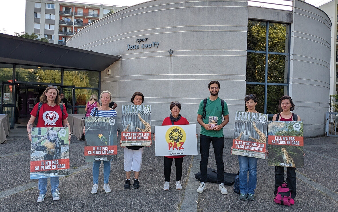 Zoo di Lione: i difensori dei diritti degli animali passano all'offensiva