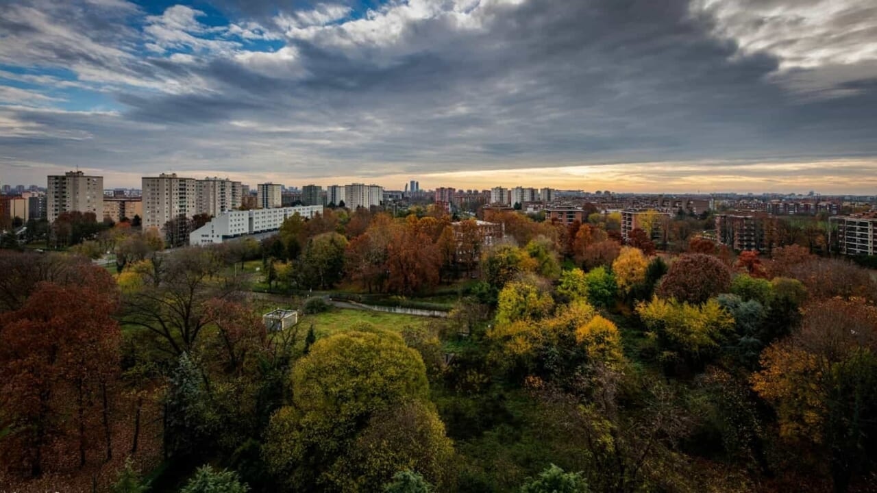 Wolkenkrabbers van 17 verdiepingen en verdwijnende bossen: de megabouwprojecten aan de rand van South Park.