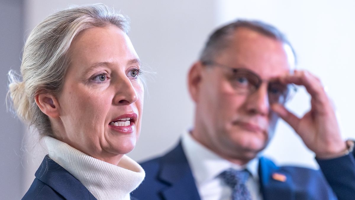 Despite criticism of the idiot case: Weidel also files criminal charges for insult