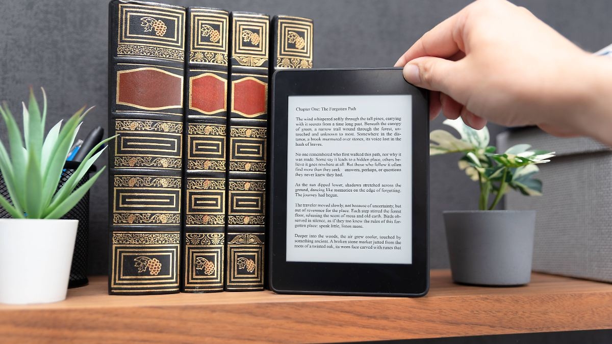 Leer más respetuoso con el medio ambiente: Estos son los mejores lectores de libros electrónicos en Warentest