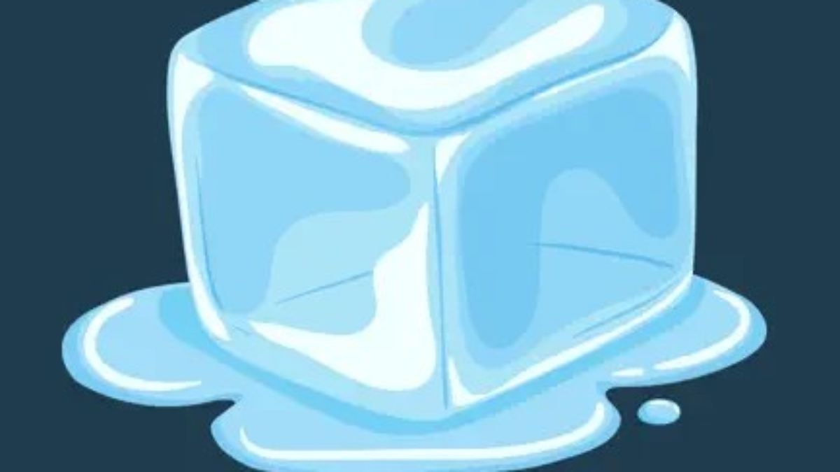 L'app avverte dei raid dell'ICE: ICEBlock fa infuriare i funzionari del governo statunitense