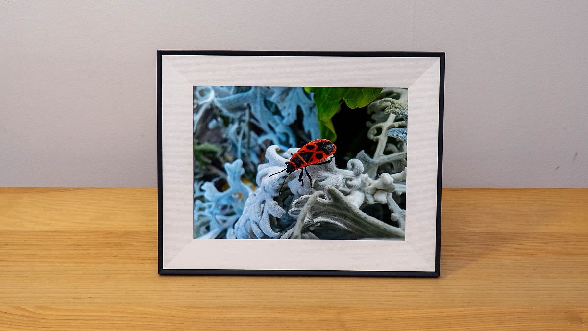 Elegante cornice digitale: con Aura Aspen puoi condividere le foto in grande formato