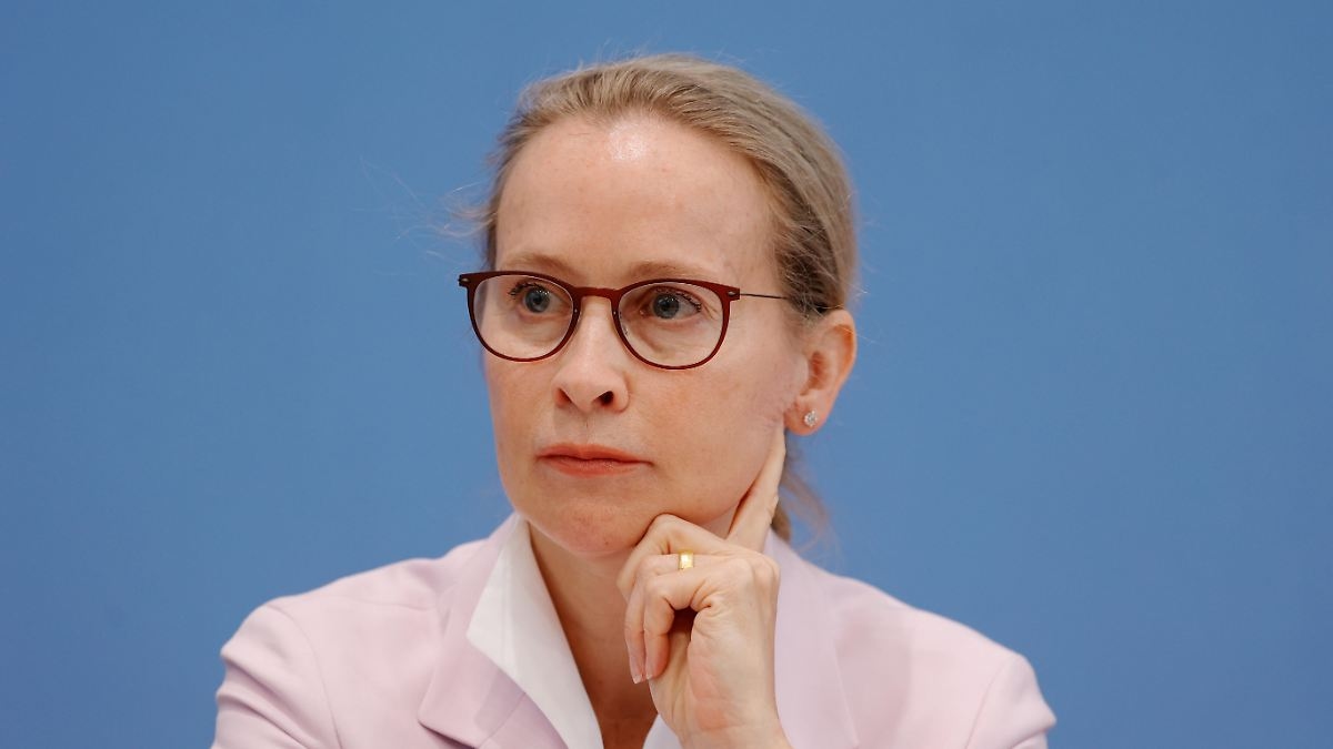 Bei Wahl "nichts ausschließen": Kanzleramtschef Frei: Brosius-Gersdorf wurde "Unrecht getan"