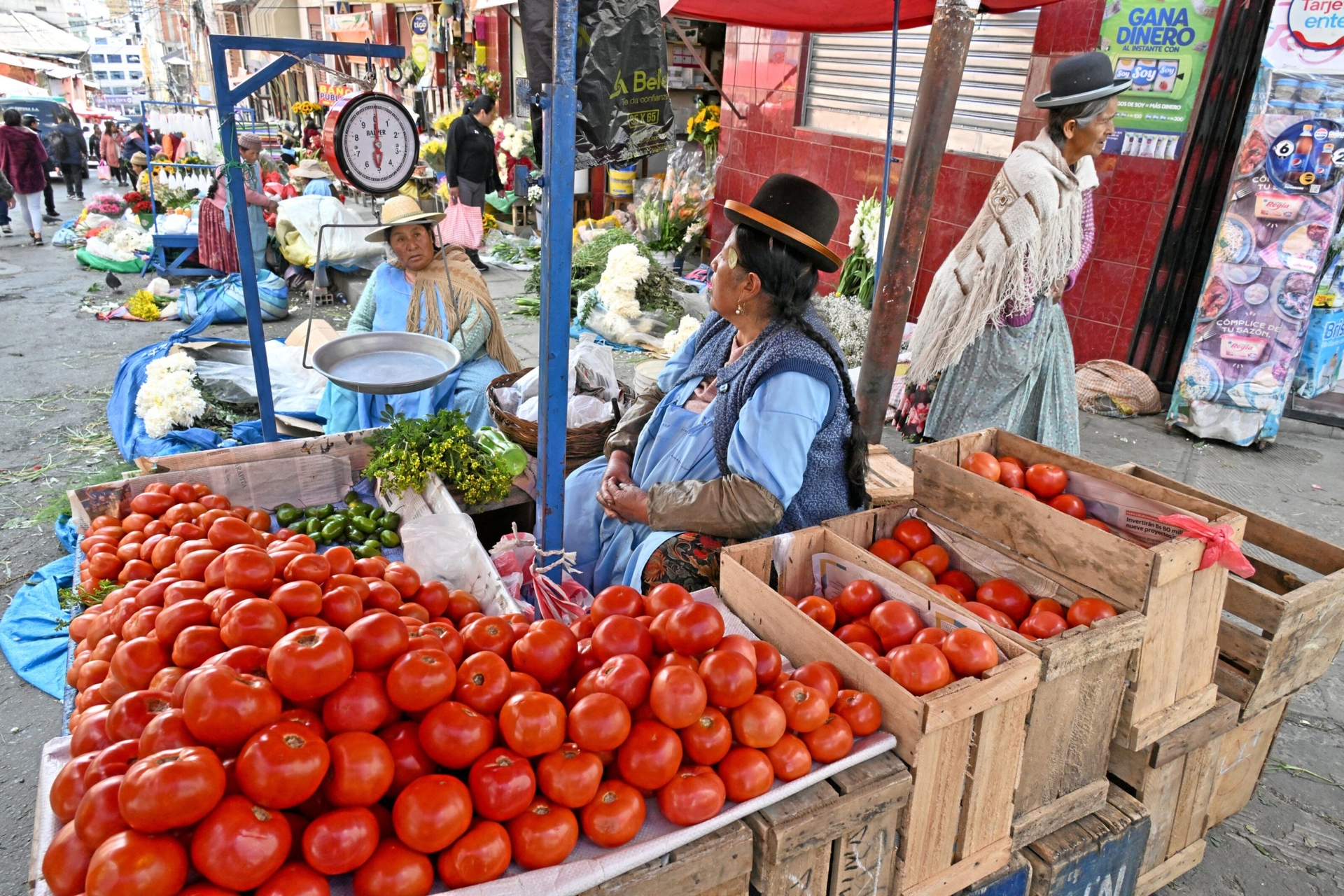 Presidential elections in Bolivia | "Bolivia is in the grip of three crises"