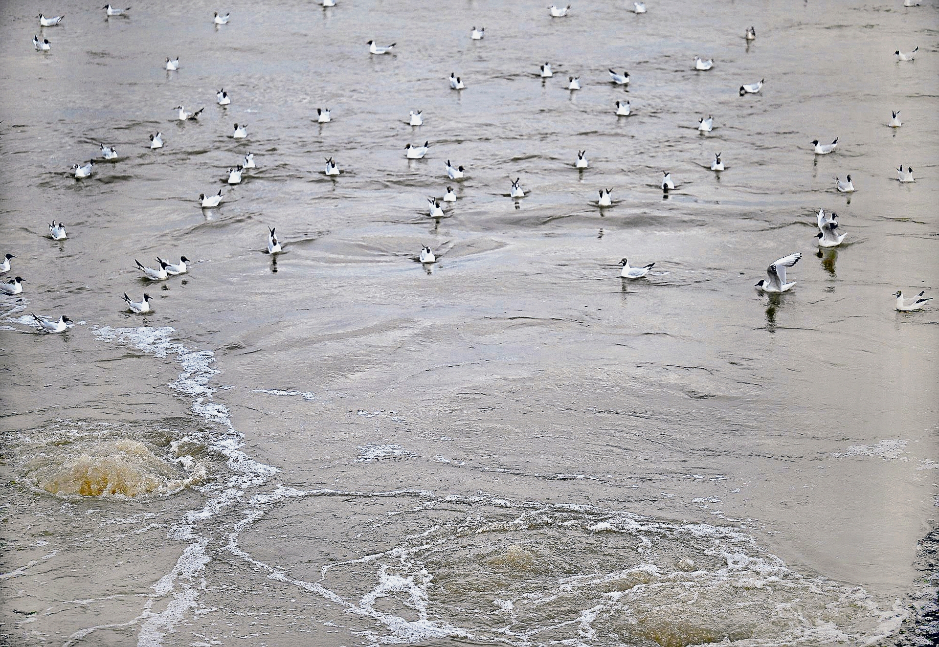 Thames Water | Empresa privada de água à beira do colapso