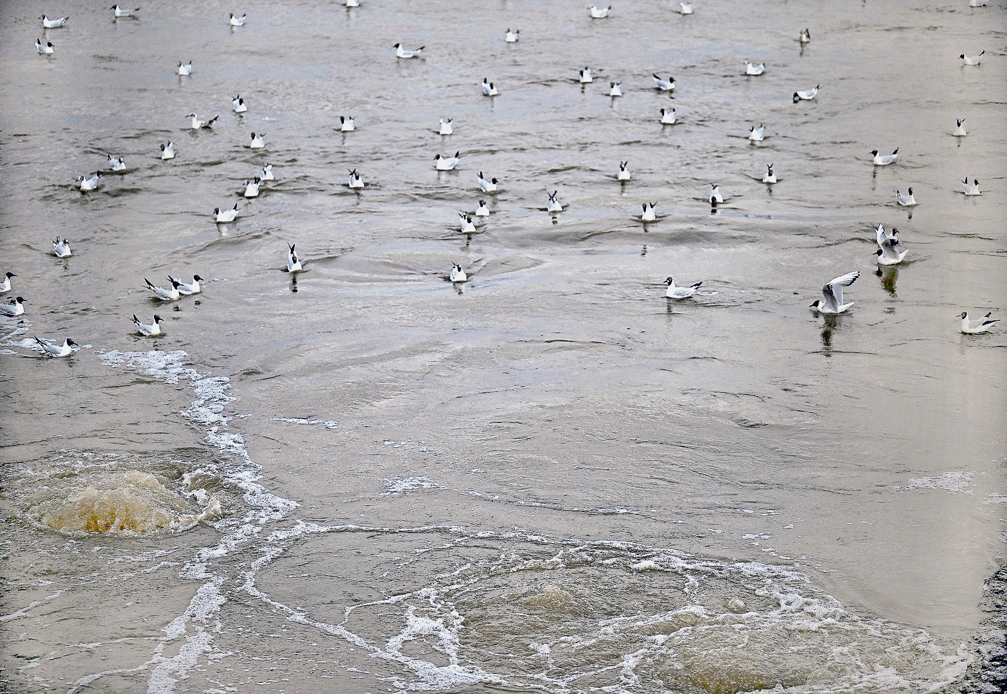 Thames Water | Empresa privada de água à beira do colapso