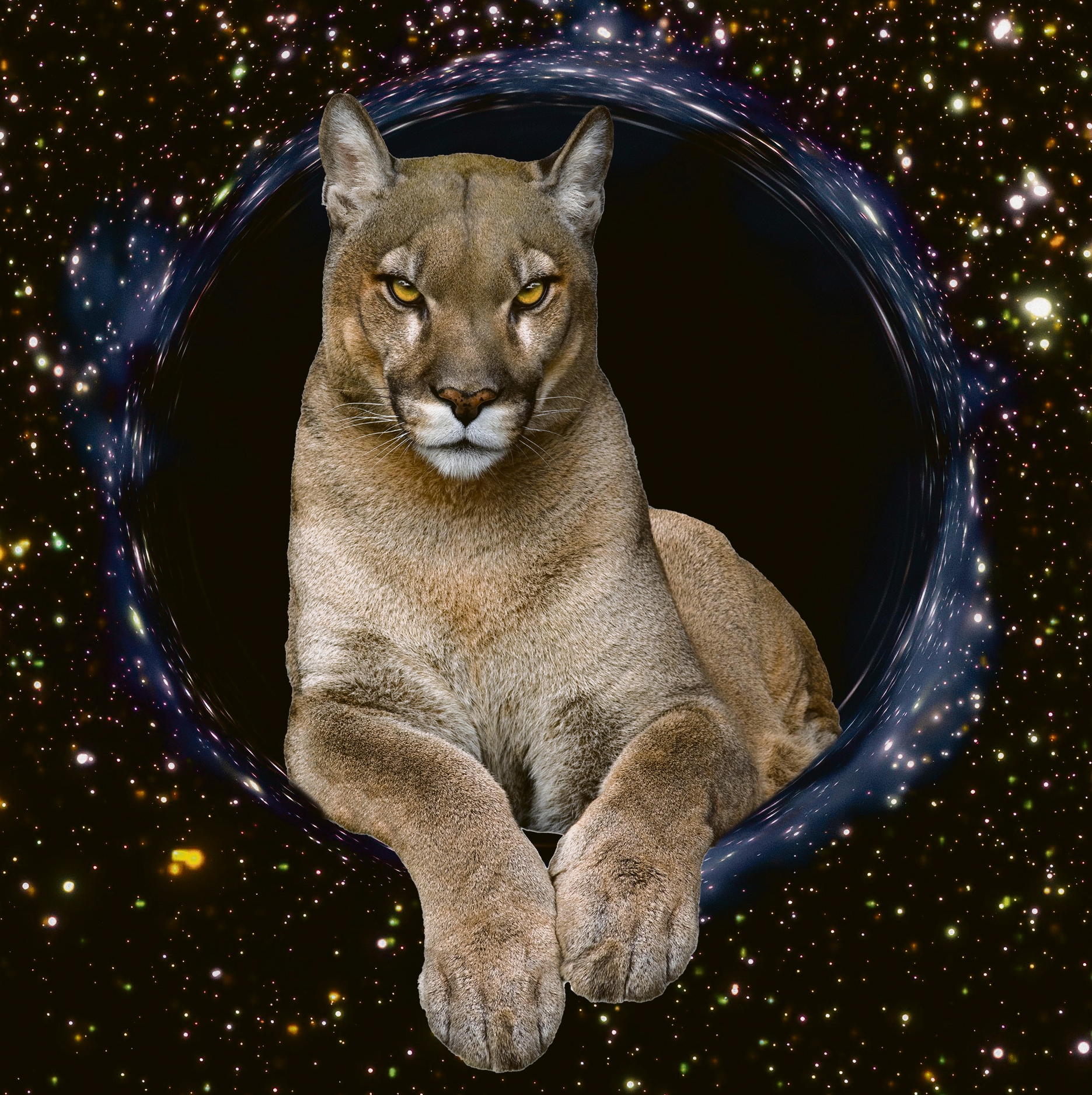 Geiseltalsee | Grandes felinos na Saxônia-Anhalt: o verão é a época dos monstros