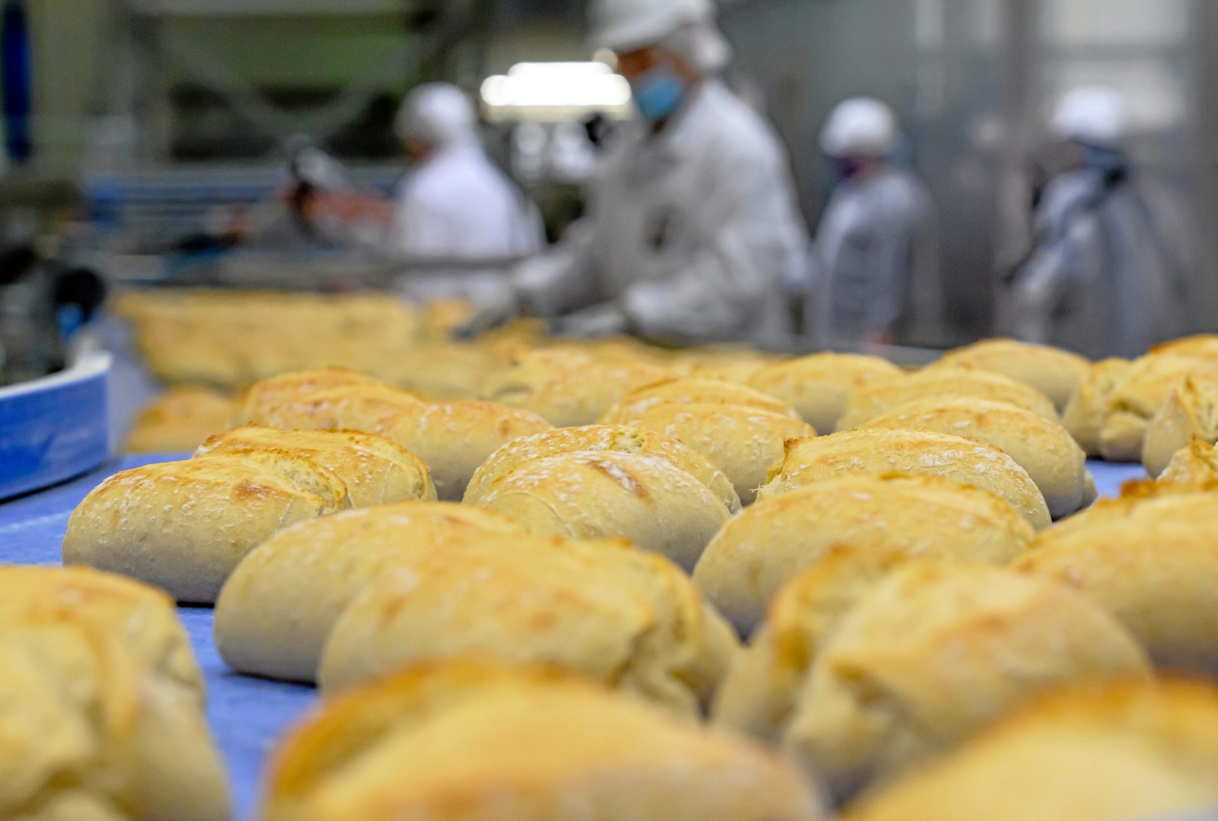 Indústria de panificação | Greves de alerta em fábricas de pão