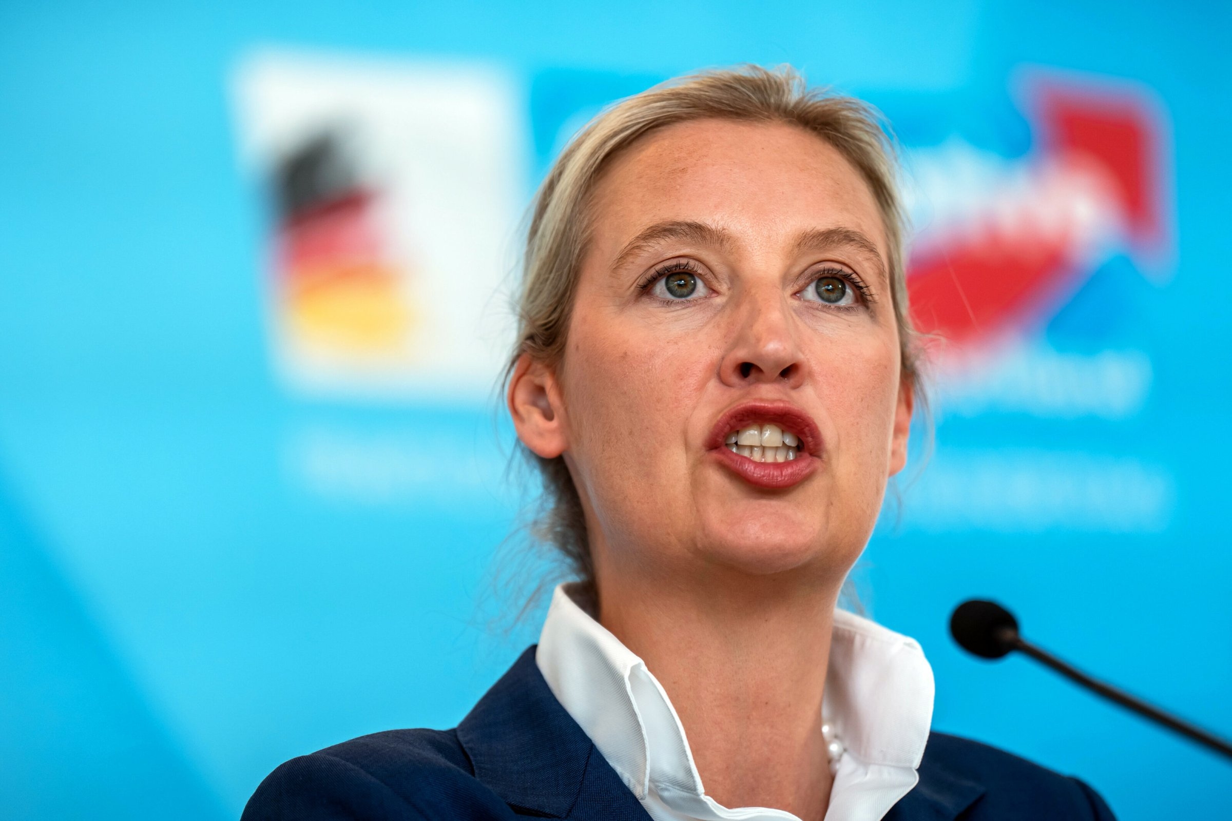 AfD w parlamencie | AfD chce uchodzić za „umiarkowaną” partię w Bundestagu