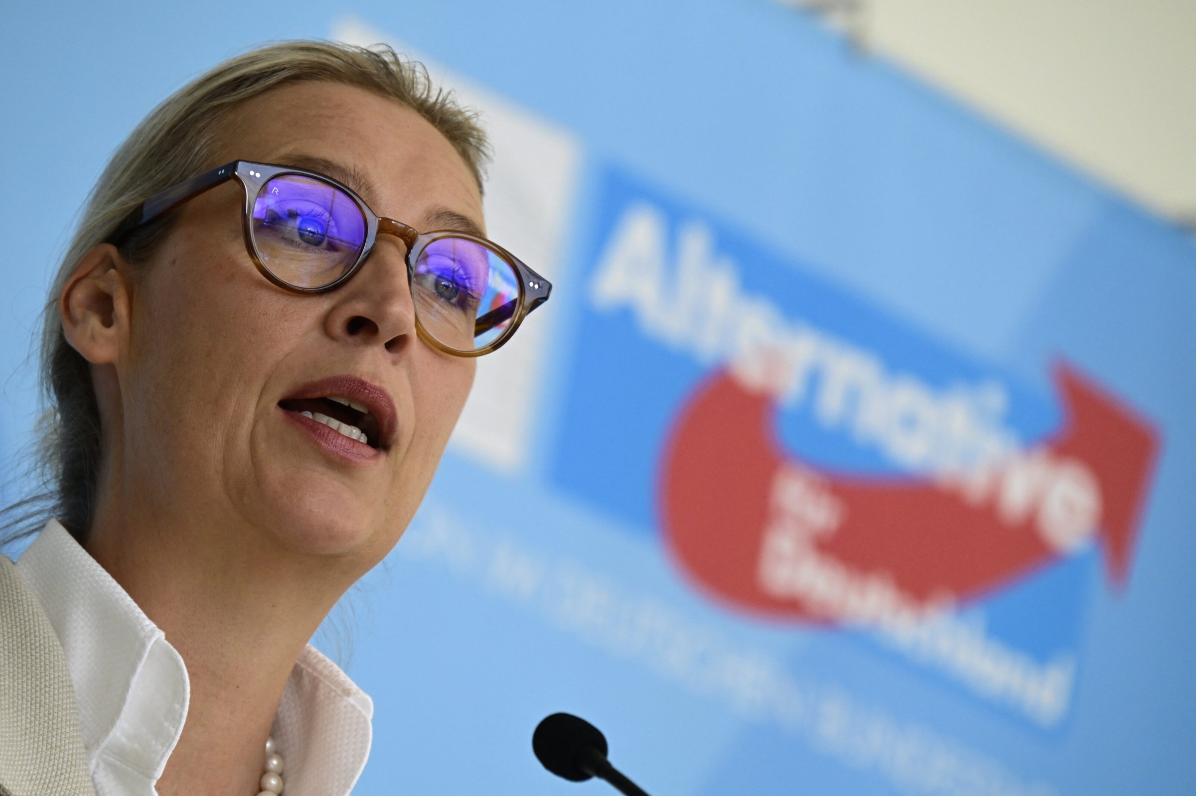 Alternative für Deutschland | AfD: Mehr »Mitte«, weniger Verbotsgefahr