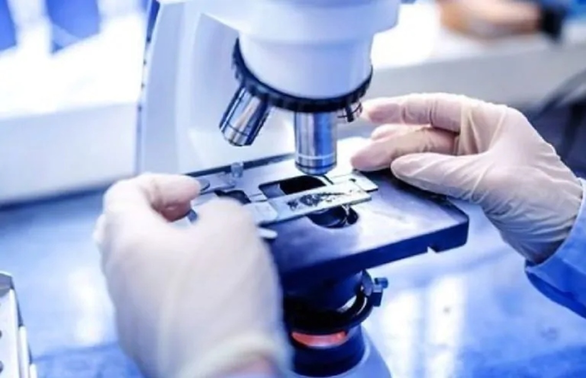 Minister Schillaci intervenes on the vaccine commission: the revocation is divisive.