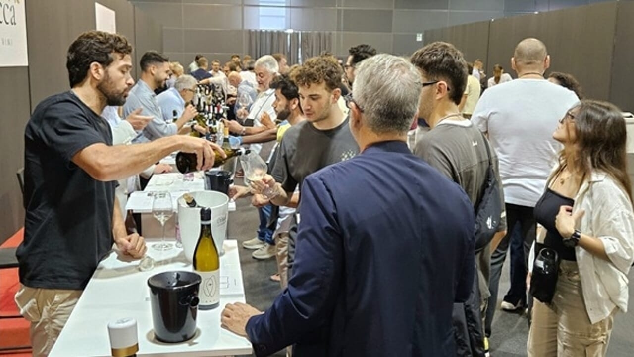 Nieuw succes voor Wine Next op de beurs: 2.000 exploitanten ontmoeten meer dan 100 wijnhuizen