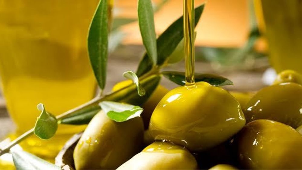 «Un patrimonio unico che va valorizzato»: la Provincia promuove l'olio dei Colli Euganei