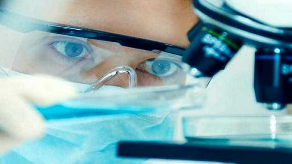 None like Unipd: 11.5 million euros for four researchers thanks to Advanced Grants