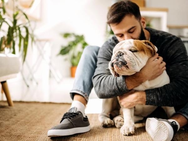 What does it mean when a person pets all the dogs?