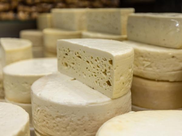 The 8 Colombian towns where the best national cheeses are produced, according to the IA