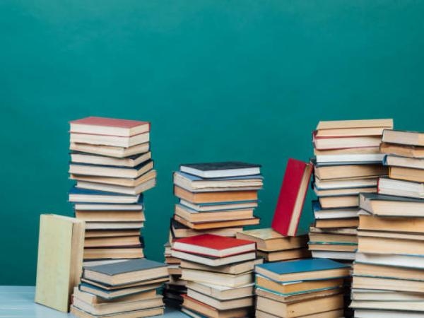Empfohlenes Portfolio: Um uns vor uns selbst zu retten