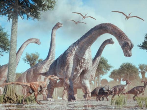 Un tumor óseo hallado en un dinosaurio cambiaría todo lo que sabemos del cáncer