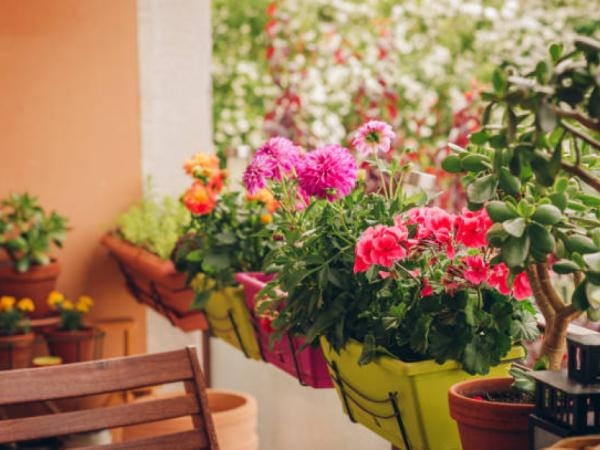 Pocos la conocen: esta es la flor 'más asociada' a la tristeza y el dolor emocional