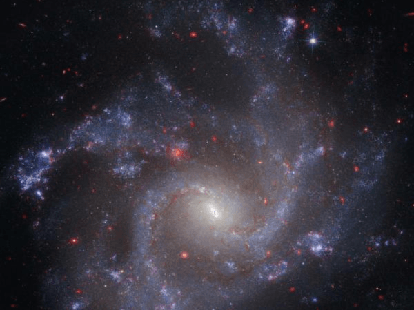Is the Universe a Computer Simulation? This Raises a New Theory