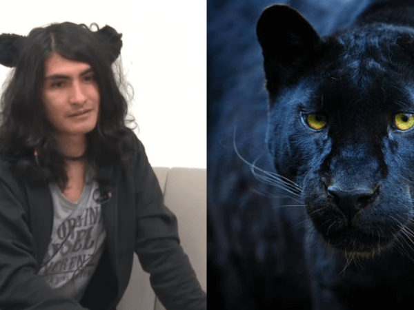 Der junge Kolumbianer, der sich wie ein Panther identifiziert und verhält: seine Geschichte