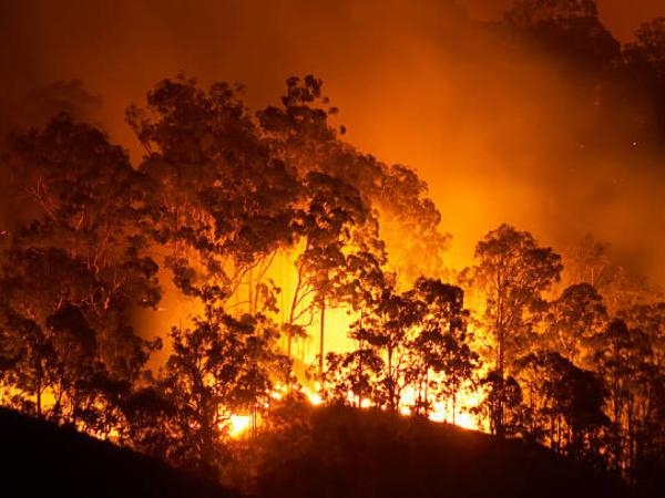 Hay preocupación: la ciudad latinoamericana donde el cambio climático no tiene piedad