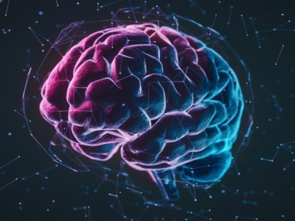 Ni analítico ni creativo: expertos desmienten una vieja teoría sobre el cerebro