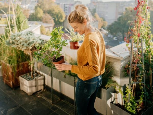 6 растений, которые можно иметь на балконе (они растут круглый год и в любом климате)