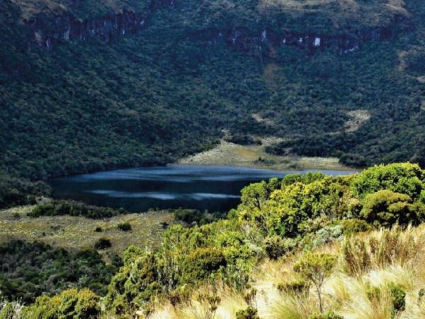 It looks like paradise and it's an hour and a half by plane from Bogotá: what place is it?