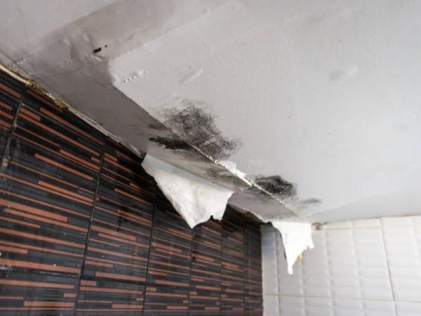 Cracks in walls and ceilings: when should you be alarmed?