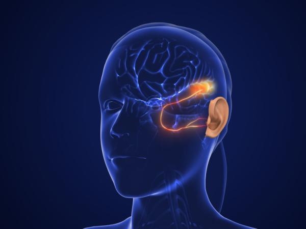 Zo beïnvloeden gehoor en evenwicht het leervermogen en de mentale gezondheid