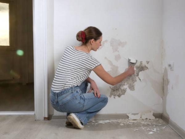 Maak uw muren weer gezond: Hoe verwijdert u schimmel uit uw huis?