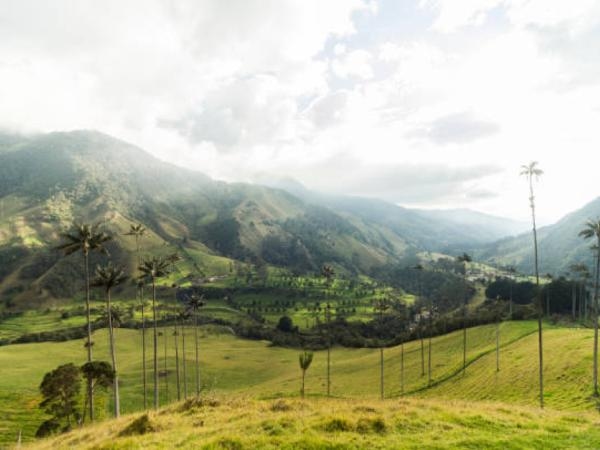 Le 4 migliori caffetterie della regione colombiana del caffè, secondo AI (dovresti conoscerle)